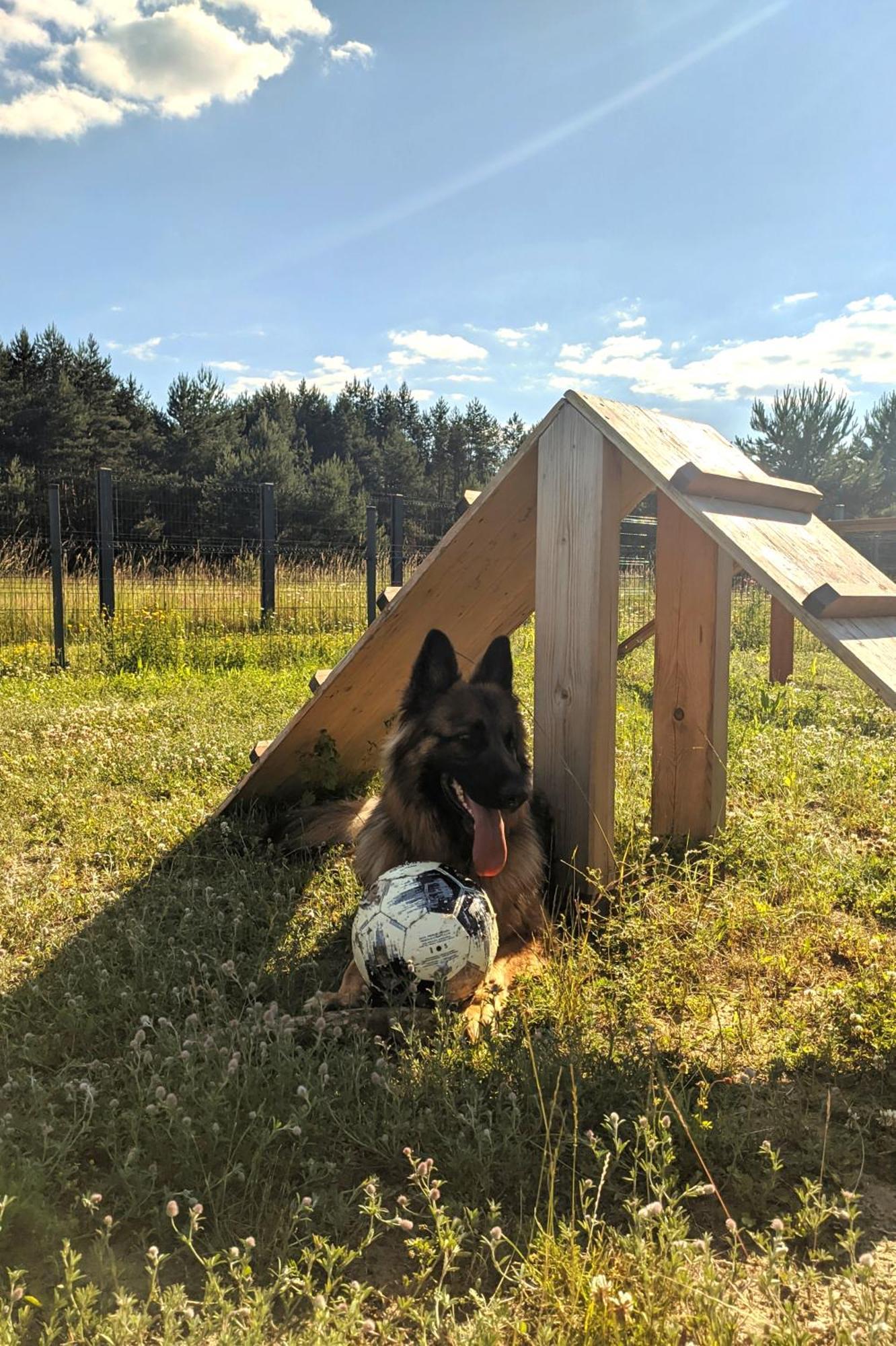 Moje Miejsce Jura Apartamento Lgota Murowana Exterior foto